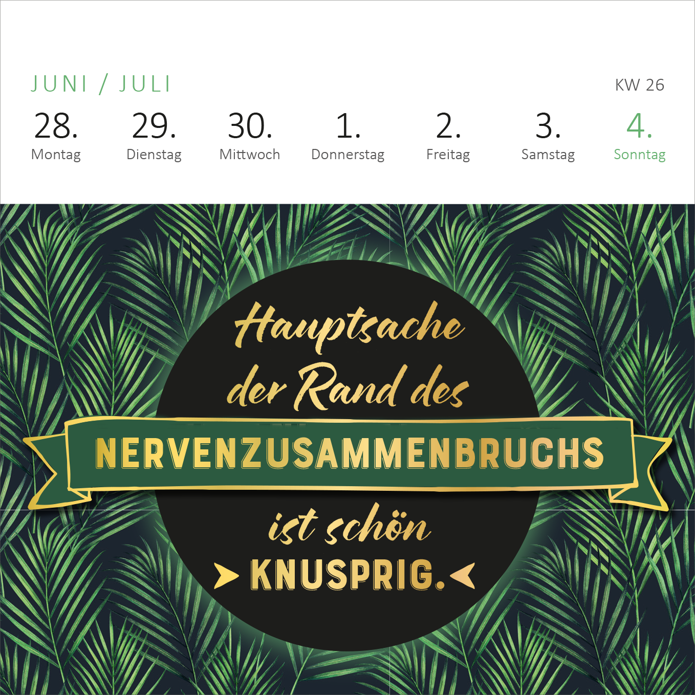 Gezeigt wird eine Innen- oder Zusatzansicht von „Mini-Wochenkalender Bevor ich mich jetzt aufrege, ist es mir lieber egal! 2027“. Der Kalender zeigt eine grüne, blattartige Hintergrundgestaltung. In der Mitte befindet sich ein schwarzer, runder Bereich mit der goldenen Schrift „Hauptsache der Rand des Nerven zusamm bruchs ist schön knusprig“. Ein breites, mintgrünes Banner mit der Aufschrift „Nerven zusamm bruchs“ ergänzt das Design und verleiht ihm einen frischen, humorvollen...