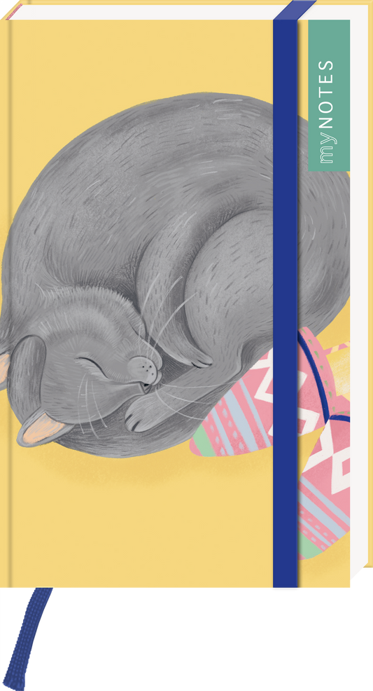 Auf dem Buchcover liegt eine graue Katze, die sich in einer entspannten Position zusammenrollt. Der Hintergrund ist in einem warmen Gelbton gehalten, was eine freundliche Atmosphäre schafft. Oben rechts steht in einer sanften Schrift der Text „my NOTES“. Unterhalb der Katze sind bunte, geometrische Muster zu erkennen, die den Eindruck von Lebendigkeit vermitteln. Ganz unten mittig steht der Logoschriftzug von arsEdition.