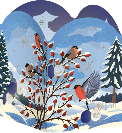 Gezeigt wird eine Innen- oder Zusatzansicht von „Windlicht-Adventskalender Winterzauber“.