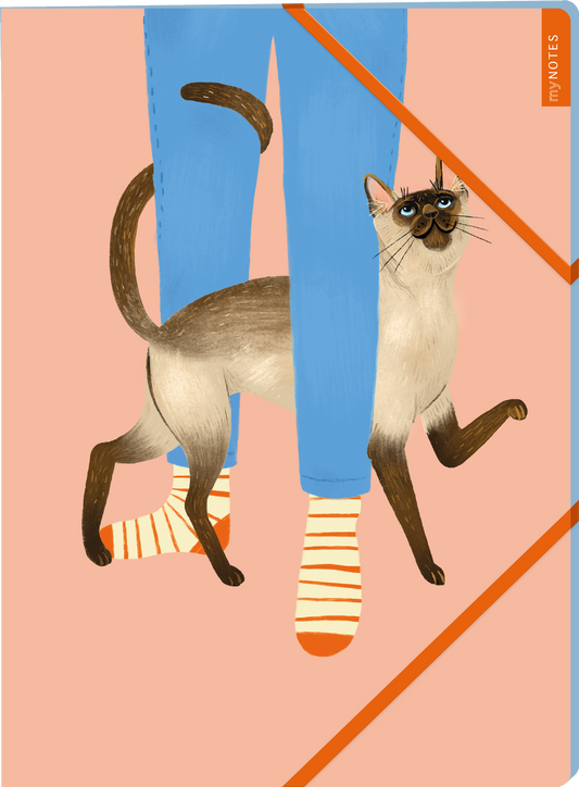 Das Buchcover zeigt eine freundliche Szene mit einer Person in blauen Jeans und bunten Socken. Über dem Fuß der Person schleicht eine Siamkatze mit leuchtend blauen Augen sowie einem samtigen, hellen Fell und dunklen Abzeichen, was eine warme Atmosphäre vermittelt. Der Hintergrund ist in sanften Rosa-Tönen gehalten. In der oberen rechten Ecke ist der Schriftzug „my NOTES“ in lebhaftem Orange zu sehen. Ganz unten mittig steht der Logoschriftzug von arsEdition.