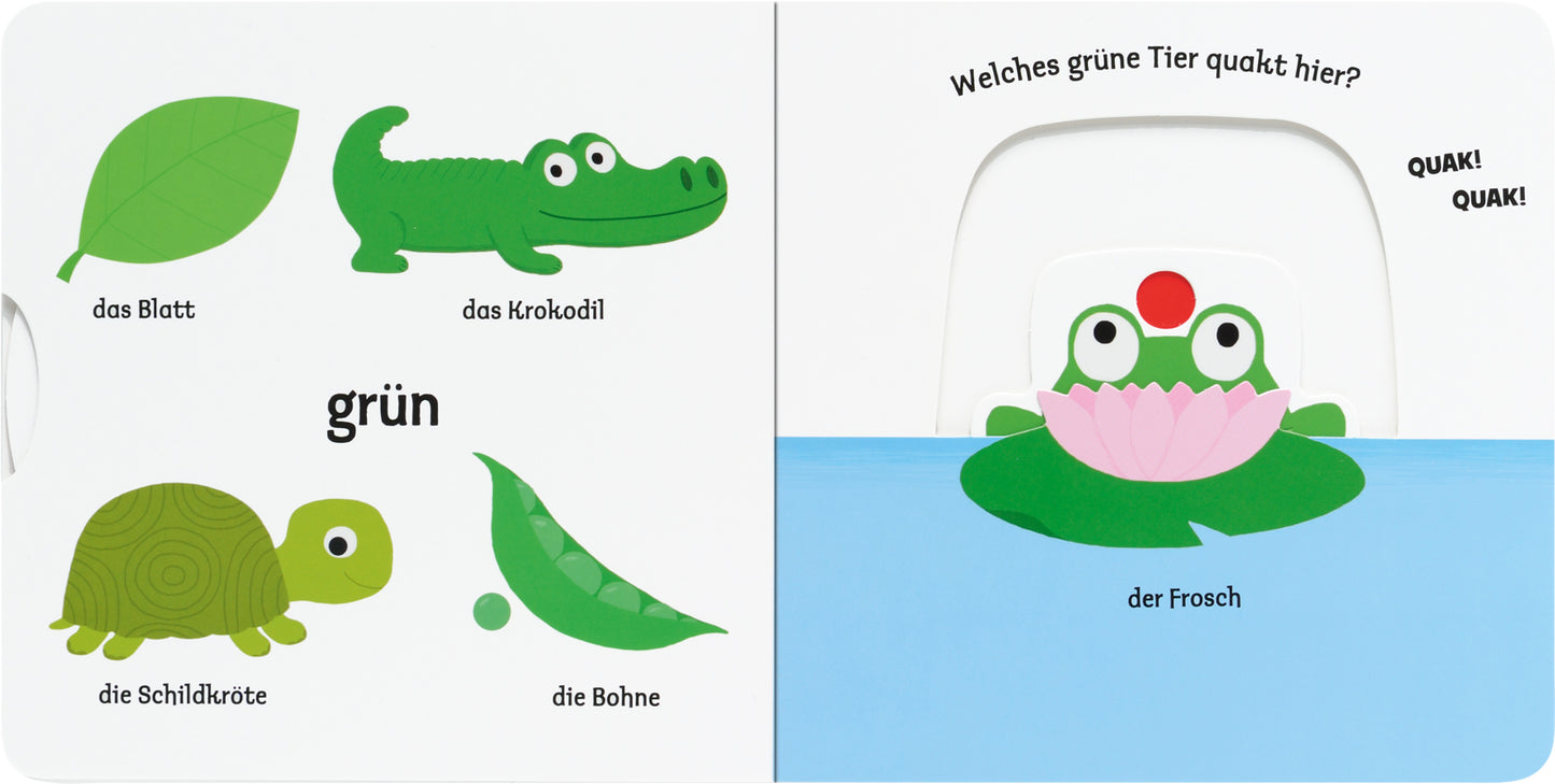 Gezeigt wird eine Innen- oder Zusatzansicht von „Mein erstes Buch von den Farben“. Auf der linken Seite sind verschiedene grüne Objekte abgebildet: ein Blatt, ein Krokodil, eine Schildkröte, eine Bohne sowie der Schriftzug „grün“ in klaren, großen Buchstaben. Die rechte Seite zeigt einen Frosch auf einer Seerose im Wasser mit der Frage „Welches grüne Tier quakt hier?“ darüber, in verspielter Schrift. Die Farben sind kräftig und kindgerecht gestaltet.
