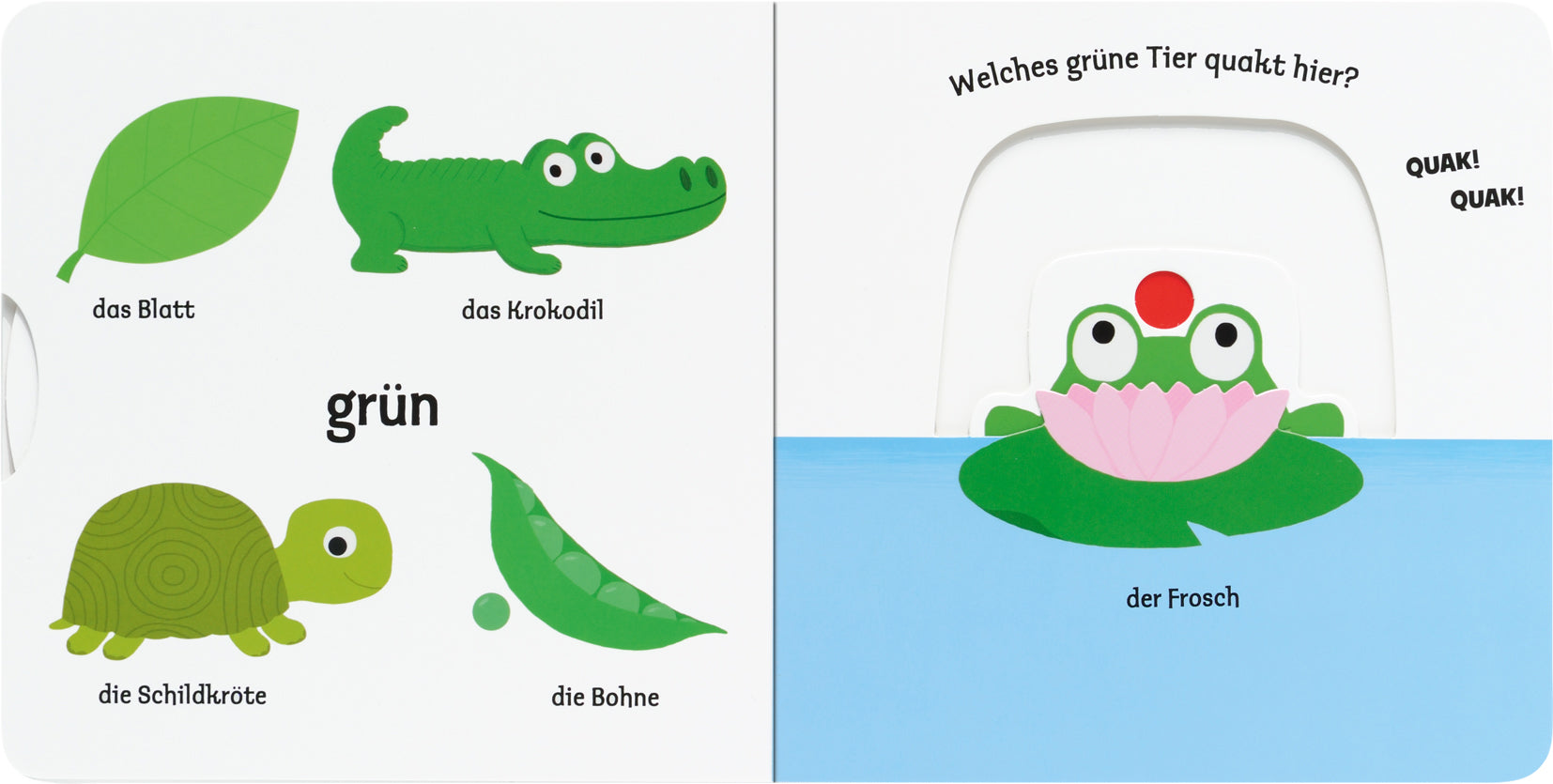 Gezeigt wird eine Innen- oder Zusatzansicht von „Mein erstes Buch von den Farben“. Auf der linken Seite sind verschiedene grüne Objekte abgebildet: ein Blatt, ein Krokodil, eine Schildkröte, eine Bohne sowie der Schriftzug „grün“ in klaren, großen Buchstaben. Die rechte Seite zeigt einen Frosch auf einer Seerose im Wasser mit der Frage „Welches grüne Tier quakt hier?“ darüber, in verspielter Schrift. Die Farben sind kräftig und kindgerecht gestaltet.