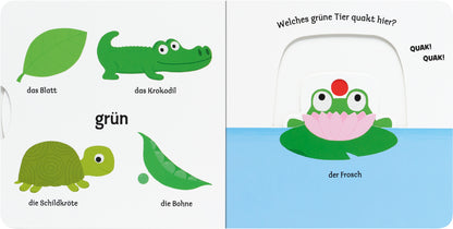 Gezeigt wird eine Innen- oder Zusatzansicht von „Mein erstes Buch von den Farben“. Auf der linken Seite sind verschiedene grüne Objekte abgebildet: ein Blatt, ein Krokodil, eine Schildkröte, eine Bohne sowie der Schriftzug „grün“ in klaren, großen Buchstaben. Die rechte Seite zeigt einen Frosch auf einer Seerose im Wasser mit der Frage „Welches grüne Tier quakt hier?“ darüber, in verspielter Schrift. Die Farben sind kräftig und kindgerecht gestaltet.