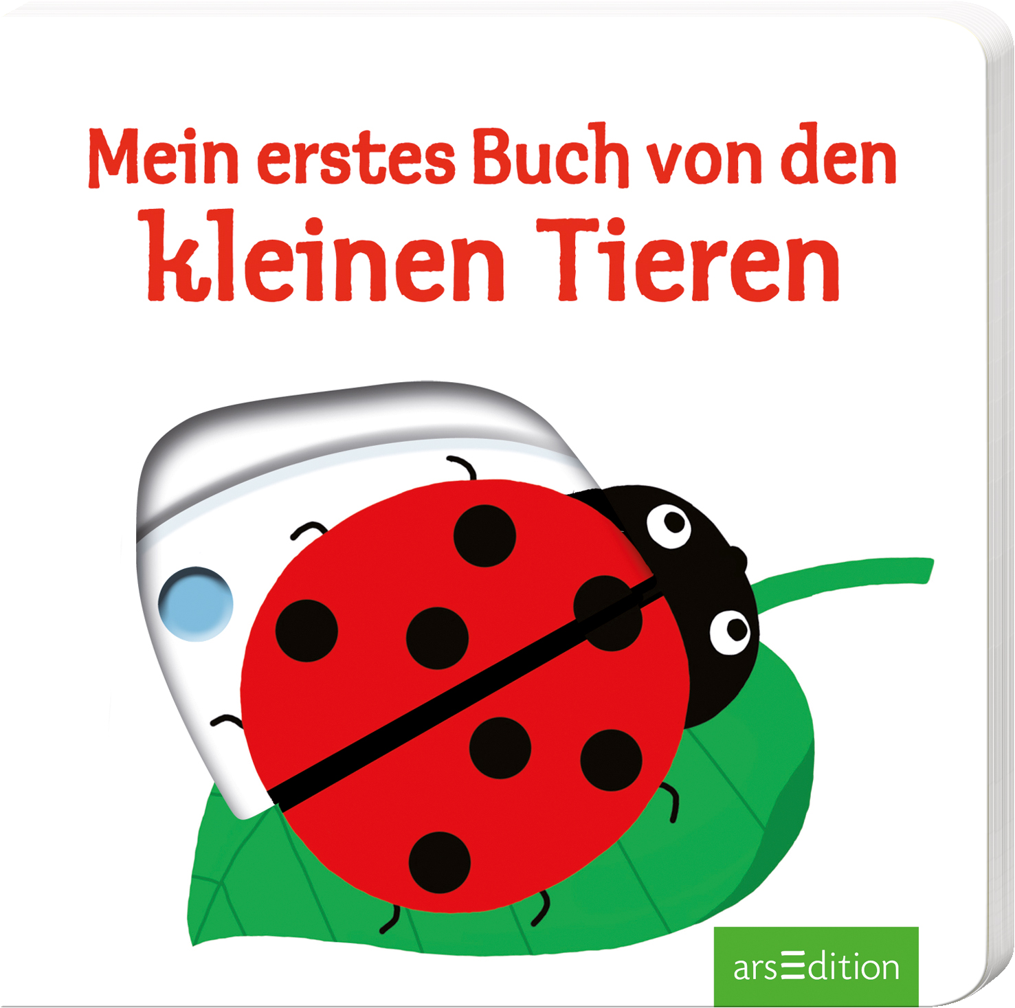 Das Buchcover zeigt ein farbenfrohes, kindgerechtes Design mit einem grünem Blatt, auf dem ein roter Marienkäfer mit schwarzen Punkten sitzt. Über dem Marienkäfer sind stilisierte, einfache Illustrationen eines Käfers und einer Blüte. Die Schrift „Mein erstes Buch von den kleinen Tieren“ ist in großen, rot gehaltenen Buchstaben darüber platziert. Die Atmosphäre ist fröhlich und einladend für Kinder. Ganz unten mittig steht der Logoschriftzug von arsEdition.