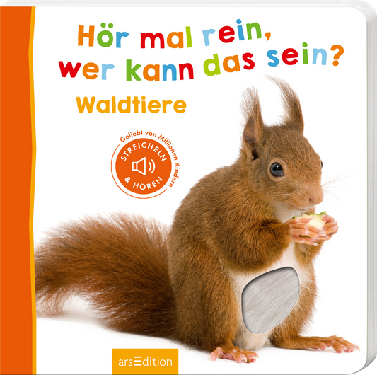 Das Cover zeigt ein niedliches Eichhörnchen, das eine Nuss hält. Es ist im Vordergrund platziert und hat ein weiches, braunes Fell. Über dem Tier steht in bunten Buchstaben der Titel „Hör mal rein, wer kann das sein?“. Darunter folgt der Untertitel „Waldtiere“ in gelber Schrift. Ein roter Button mit dem Text „STREICHELN & HÖREN“ ist rechts vom Eichhörnchen platziert. Ganz unten mittig steht der Logoschriftzug von arsEdition.