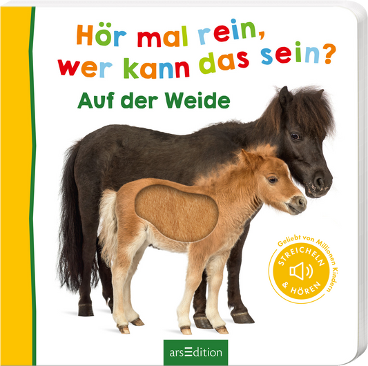Das Buchcover zeigt ein Pony und ein Fohlen auf der Weide. Die Tiere stehen nebeneinander und sind freundlich gestaltet, wobei das Fohlen eine Aussparung aufweist. Der Titel „Hör mal rein, wer kann das sein?“ ist in bunten Buchstaben geschrieben, während „Auf der Weide“ in einer klaren, grünen Schrift erscheint. Rechts unten ist ein gelber Button mit dem Text „STREICHEN & HÖREN“ zu sehen. Ganz unten mittig steht der Logoschriftzug von arsEdition.