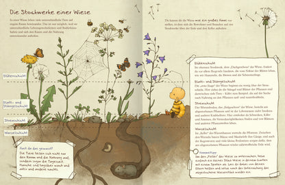 Gezeigt wird eine Innenansicht von „Die kleine Hummel Bommel entdeckt die Wiese“. Die Illustration zeigt einen Querschnitt der verschiedenen Schichten einer Wiese – von der Wurzelschicht bis an die Blütenschicht. Ergänzt wird die Darstellung durch handgeschriebene Notizen, die Informationen über die Wiese und ihre Bestandteile liefern.