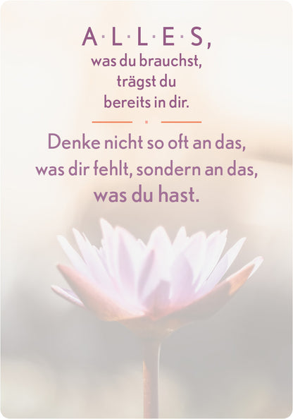 Gezeigt wird eine Innen- oder Zusatzansicht von „Glücksmantras für Alltagsheldinnen“. Der Hintergrund ist leicht verschwommen und zeigt eine zarte Blüte in sanften Rosé- und Lilatönen. In eleganter, verspielter Typografie sind die Worte „A L L E S, was du brauchst, trägst du bereits in dir“ und der Spruch „Denke nicht so oft an das, was dir fehlt, sondern an das, was du hast“ in dunklem Lila dargestellt. Die Gestaltung vermittelt eine positive, inspirierende Atmosphäre.