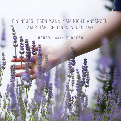 Gezeigt wird eine Innen- oder Zusatzansicht von „Achtsamkeit für dich“. Die Darstellung zeigt eine sanfte, klare Komposition mit einer Hand, die zarte Lavendelblüten berührt. Der Hintergrund ist in sanften Grüntönen gehalten, was eine beruhigende Atmosphäre schafft. Über der Bildmitte steht in einer eleganten, lesbaren Schrift: „Ein neues Leben kann man nicht anfangen, aber täglich einen neuen Tag.“ von Henry David Thoreau. Die Typografie ist in Weiß gehalten und kontrastiert...