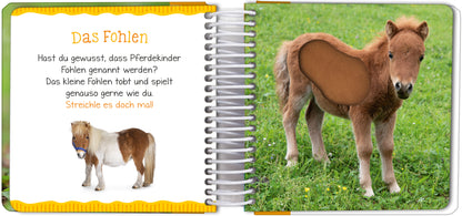 Gezeigt wird eine Innen- oder Zusatzansicht von „Mein großes Streichelbuch – Bauernhoftiere“. Auf der linken Seite befindet sich ein Bild eines kleinen Fohlens, das in sanften Brauntönen gehalten ist. Daneben steht in verspielter Schrift „Das Fohlen“ in orange. Auf der rechten Seite ist ein weiteres Bild des Fohlens, dessen Bauchbereich als haptische Fläche gestaltet ist, um das Streicheln zu ermöglichen. Der Hintergrund ist durch eine grüne Wiese geprägt, die eine freundliche...