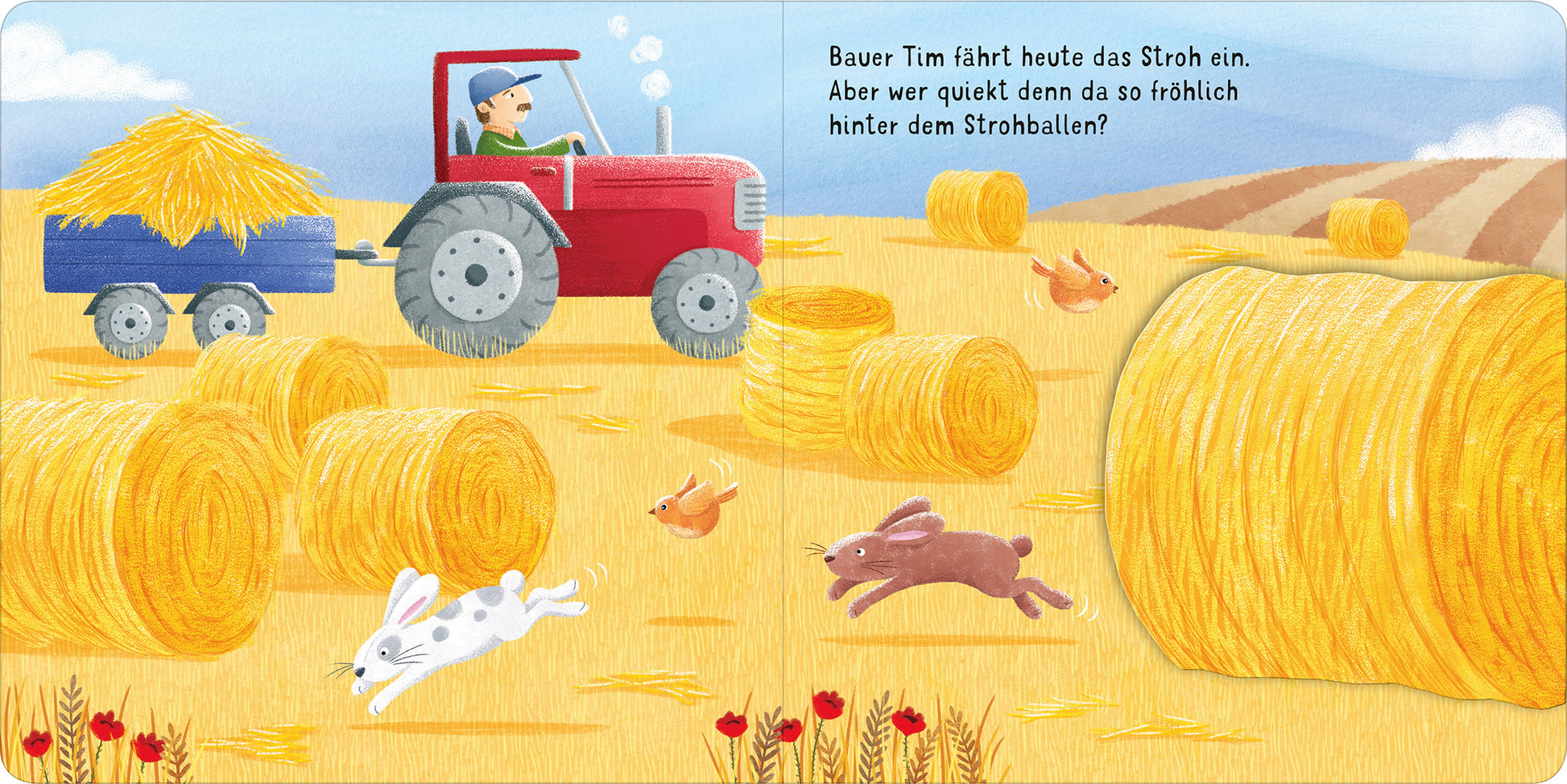 Gezeigt wird eine Innen- oder Zusatzansicht von „Klapp auf – schau rein: Bauernhof“. Die Illustration zeigt einen roten Traktor, der Stroh einfahren will, umgeben von gelben Strohballen. Ein Hase und ein Kaninchen hüpfen fröhlich hinter den Strohballen, während Bauer Tim mit einem freundlichen Gesichtsausdruck in Richtung des Betrachters blickt. Die Landschaft im Hintergrund ist leicht hügelig und mit zarten Farben gestaltet, die insgesamt eine lebendige und einladende Atmosphäre...