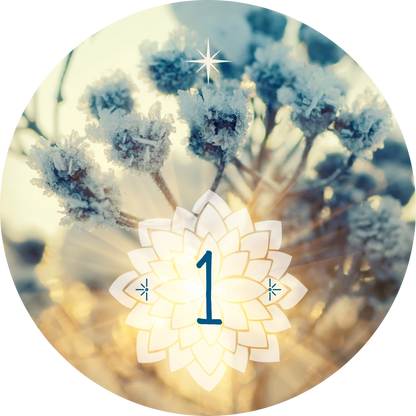 Gezeigt wird eine Innen- oder Zusatzansicht von „Adventskalender in der Dose. 24 Entspannungsmomente für den Advent“. Der Kalender zeigt eine fröhliche, sanfte Farbpalette mit winterlichen Tönen. Im Zentrum befindet sich eine blütenförmige, cremefarbene Grafik mit der Zahl „1“ in eleganter, blauer Schrift. Umrahmt von frostigen Pflanzen im Hintergrund und einem warmen Lichtschein vermittelt die Darstellung eine einladende, beruhigende Stimmung für die Adventszeit.