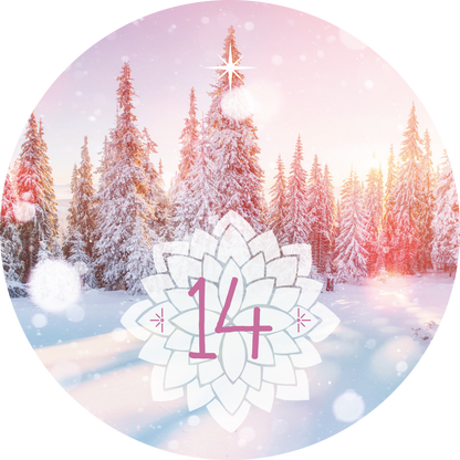Gezeigt wird eine Innen- oder Zusatzansicht von „Adventskalender in der Dose. 24 Entspannungsmomente für den Advent“. Das Bild zeigt eine winterliche Landschaft mit schneebedeckten Tannenbäumen vor einem pastellfarbenen Himmel. In der Mitte prangt eine stilisierte, weiße Lotusblume mit der Zahl „14“ in geschwungener, rosafarbener Schrift. Sanfte Schneeflocken und Lichtreflexionen verleihen der Szene eine festliche, beruhigende Atmosphäre.