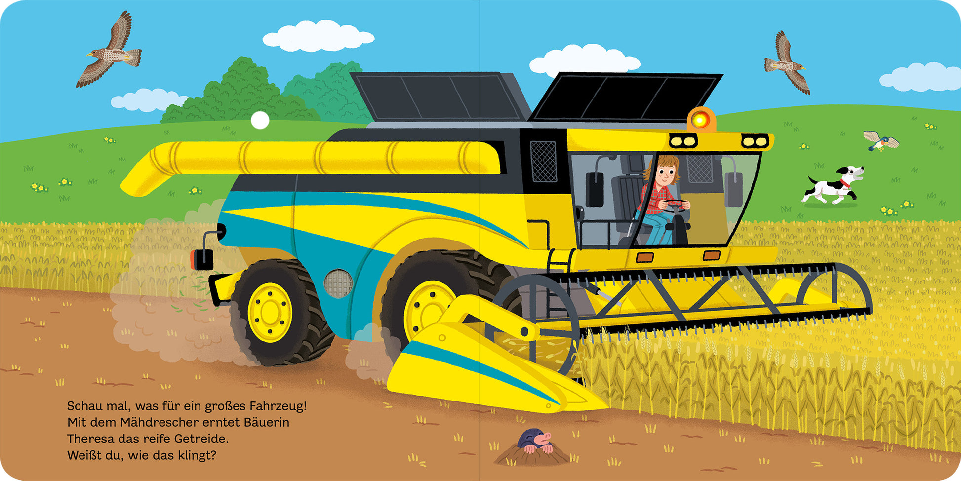 Gezeigt wird eine Innen- oder Zusatzansicht von „Mein blinkendes Soundbuch – Bauernhof“. Die Illustration zeigt einen gelb-blauen Mähdrescher auf einem Feld, umgeben von grünen Hügeln und blauen Himmel. Eine Bauerin mit langen, braunen Haaren sitzt im Mähdrescher. Auf der linken Seite befindet sich ein leicht versetzter, ländlicher Hintergrund mit weiteren Tieren, insbesondere einer Kuh und Vögeln, die durch die Luft fliegen. Die Schrift ist in klarer, kindgerechter Typografie...