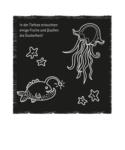 Gezeigt wird eine Innen- oder Zusatzansicht von „Mein leuchtendes Kritzkratz-Buch“. Auf schwarzem Hintergrund sind verschiedene weiße Illustrationen zu sehen, darunter ein anglerfischähnlicher Fisch mit einer Leuchte und eine Quallenzeichnung mit langem Tentakel. Zusätzlich sind einige sternförmige Elemente abgebildet. Die Schrift ist klar und in einer verspielten, gut lesbaren Typografie gehalten. Der Text beschreibt, wie Fische und Quallen die Dunkelheit in der Tiefsee erleuchten.