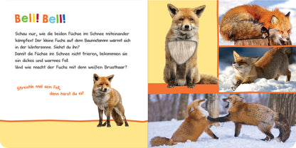 Gezeigt wird eine Innen- oder Zusatzansicht von „Hör mal rein, wer kann das sein? – Winter im Wald“. Die Seite präsentiert eine farbenfrohe Illustration von Füchsen im Schnee, kombiniert mit lebhaften, warmen Tönen wie Orange und Gelb. Der Text ist in einer verspielten, gut lesbaren Schrift gestaltet. Auf der linken Seite ist ein kommentierender Text eingebettet, der zur Interaktion einlädt. Die rechte Seite zeigt verschiedene Fuchsabbildungen in Bewegung und Interaktion, die das...
