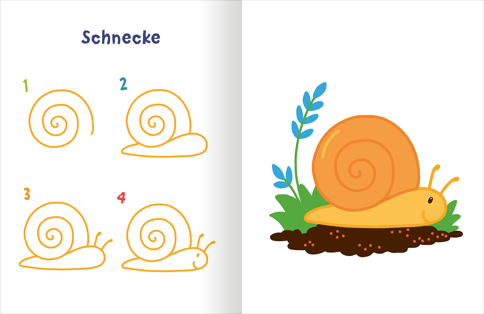 Gezeigt wird eine Innenansicht von „Meine kunterbunte Zeichenschule“. Auf der linken Seite sind vier Zeichenschritte zur Darstellung einer Schnecke in gelber und orangefarbener Farbe abgebildet, die von einer blauen Überschrift „Schnecke“ begleitet werden. Die Zeichenschritte sind in sanften, geschwungenen Linien gestaltet. Auf der rechten Seite sieht man eine große, farbenfrohe, gezeichnete Schnecke, die auf einem braunen Erdhügel sitzt, umgeben von grünen Blättern.