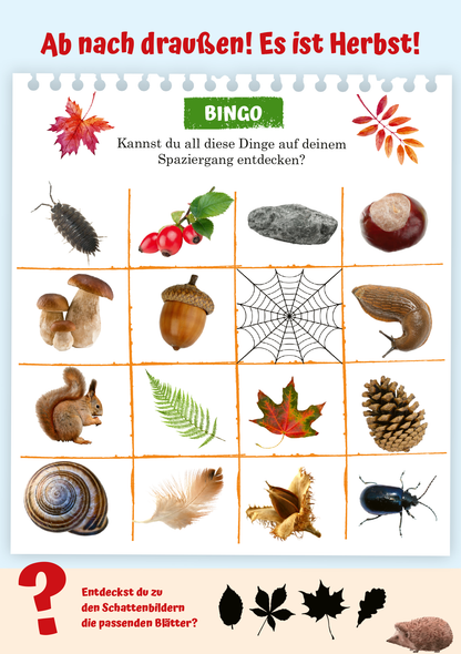 Gezeigt wird eine Innen- oder Zusatzansicht von „Abenteuer-Spaziergänge“. Die Darstellung zeigt ein Bingo-Spiel mit einem Raster von Bildern herbstlicher Elemente, darunter Blätter, Tiere und Objekte wie Eicheln und Pilze. Die Farbpalette umfasst warme Braun- und Grüntöne, ergänzt durch leuchtendes Rot und Gelb. Die typografische Gestaltung ist freundlich, mit der Überschrift „BINGO“ in kräftigem Grün und einer klaren, leicht lesbaren Schrift für die fragende Anleitung.
