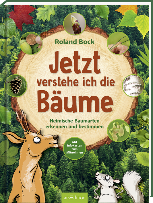 Das Buchcover zeigt eine rustikale Holzscheibe im Hintergrund, umgeben von verschiedenen grünen Blättern und Naturmaterialien. In der Mitte steht der Titel „Jetzt verstehe ich die Bäume“ in großen, braunen Buchstaben. Der untere Bereich zeigt eine schelmische Illustration eines Rehs, das aufmerksam schaut. Oben links steht der Name des Autors, Roland Bock. Unterhalb des Titels sind die Unterzeilen „Heimische Baumarten erkennen und bestimmen“ sowie „Mit Infokarten zum Mitnehmen“...