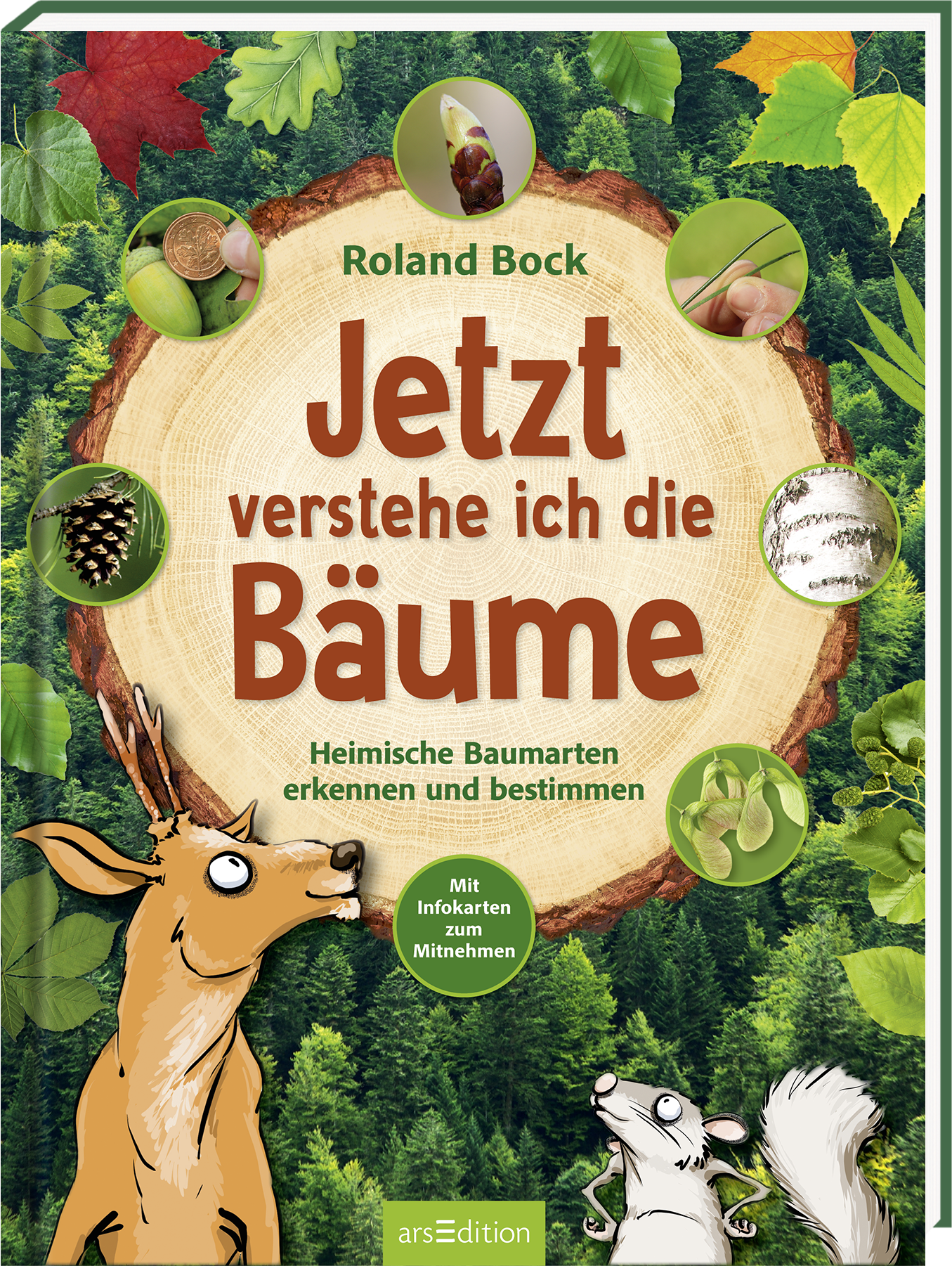 Das Buchcover zeigt eine rustikale Holzscheibe im Hintergrund, umgeben von verschiedenen grünen Blättern und Naturmaterialien. In der Mitte steht der Titel „Jetzt verstehe ich die Bäume“ in großen, braunen Buchstaben. Der untere Bereich zeigt eine schelmische Illustration eines Rehs, das aufmerksam schaut. Oben links steht der Name des Autors, Roland Bock. Unterhalb des Titels sind die Unterzeilen „Heimische Baumarten erkennen und bestimmen“ sowie „Mit Infokarten zum Mitnehmen“...