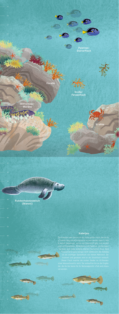 Gezeigt wird eine Innen- oder Zusatzansicht von „Hinab ins tiefe Blau“. Die Illustration präsentiert eine farbenfrohe Unterwasserlandschaft mit Korallen, Algen und verschiedenen Meeresbewohnern, darunter Krebse und Fische. Dominierende Farben sind sanfte Blautöne, ergänzt durch lebendige Akzente in Orange und Grün. Die Typografie besteht aus klaren, gut lesbaren Schriftarten, die die Namen der Abbildungen in einem ansprechenden Layout anordnen.