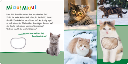 Gezeigt wird eine Innen- oder Zusatzansicht von „Hör mal rein, wer kann das sein? – Kleine Tiere im Schnee“. Die Seite ist farbenfroh gestaltet und zeigt vier verschiedene Katzenbilder in einem winterlichen Umfeld. In leuchtenden Farben präsentiert sich der Titel „Miau! Miau!“ in verspielter Typografie. Links befindet sich ein Text mit Fragen, um das Kind zum Mitmachen anzuregen. Ein großer, runder Ausschnitt lädt dazu ein, das weiche Fell einer Katze zu berühren.