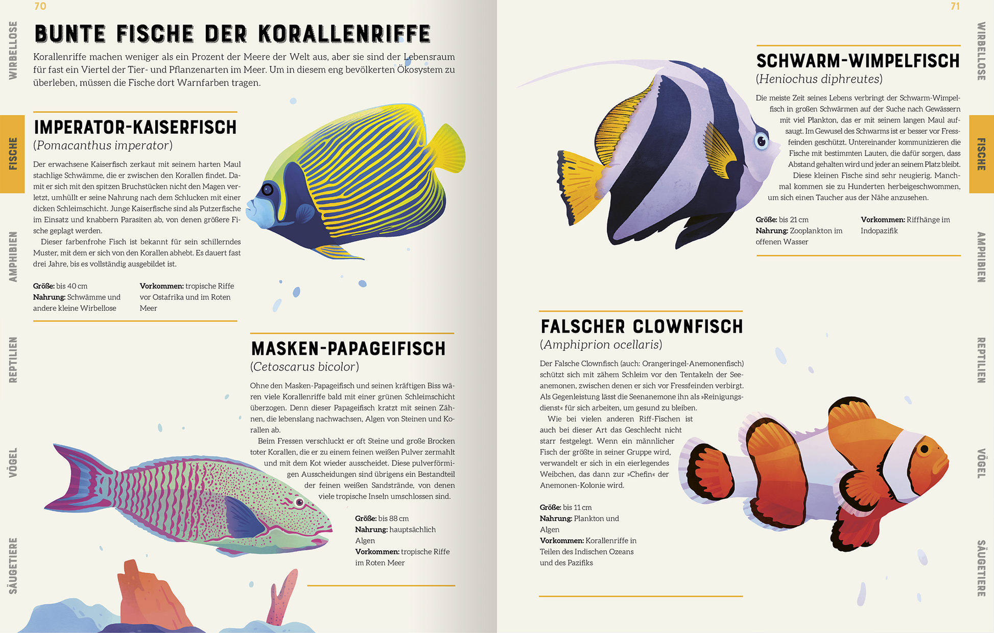Gezeigt wird eine Innen- oder Zusatzansicht von „Das große Lexikon der Tiere“. Die Seite präsentiert eine Übersicht über bunte Fische der Korallenriffe. Sie enthält farbenfrohe Illustrationen von verschiedenen Fischarten, darunter den Imperator-Kaiserfisch, den Masken-Papageifisch und den Falschen Clownfisch. Die Verwendung von kräftigen Farben wie Gelb, Blau und Orange wird von einer klaren, gut lesbaren Schriftart begleitet. Ergänzende Informationen sind in informativen Kästchen...