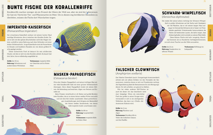 Gezeigt wird eine Innen- oder Zusatzansicht von „Das große Lexikon der Tiere“. Die Seite präsentiert eine Übersicht über bunte Fische der Korallenriffe. Sie enthält farbenfrohe Illustrationen von verschiedenen Fischarten, darunter den Imperator-Kaiserfisch, den Masken-Papageifisch und den Falschen Clownfisch. Die Verwendung von kräftigen Farben wie Gelb, Blau und Orange wird von einer klaren, gut lesbaren Schriftart begleitet. Ergänzende Informationen sind in informativen Kästchen...