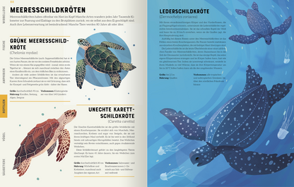 Gezeigt wird eine Innen- oder Zusatzansicht von „Das große Lexikon der Tiere“. Die Seite präsentiert zwei Schildkrötenarten, die auf einem farbenfrohen, aquatischen Hintergrund schwimmen. Links ist die „Grüne Meeresschildkröte“ abgebildet, deren detaillierte Zeichnung in satten Grüntönen leuchtet. Rechts erscheint die „Lederschildkröte“ in Blau- und Grautönen. Unter den Illustrationen befinden sich informierende Texte in klarer, gut lesbarer Schrift mit markanten...