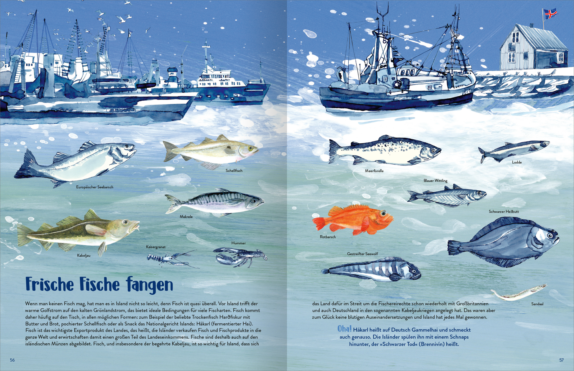 Gezeigt wird eine Innen- oder Zusatzansicht von „Island“. Die Illustration zeigt eine maritime Szenerie mit Booten und einem Strandhaus im Hintergrund, umgeben von einer blauen Wasseroberfläche. Auf der linken Seite sind verschiedene Fischarten abgebildet, darunter der Heringslachs und der Dorsch, die im Detail beschrieben sind. Die Schrift ist klar und gut lesbar, in einer ansprechenden, freundlichen Typografie. Die Farben sind überwiegend blau und kräftige kontrastierende Farbtöne...