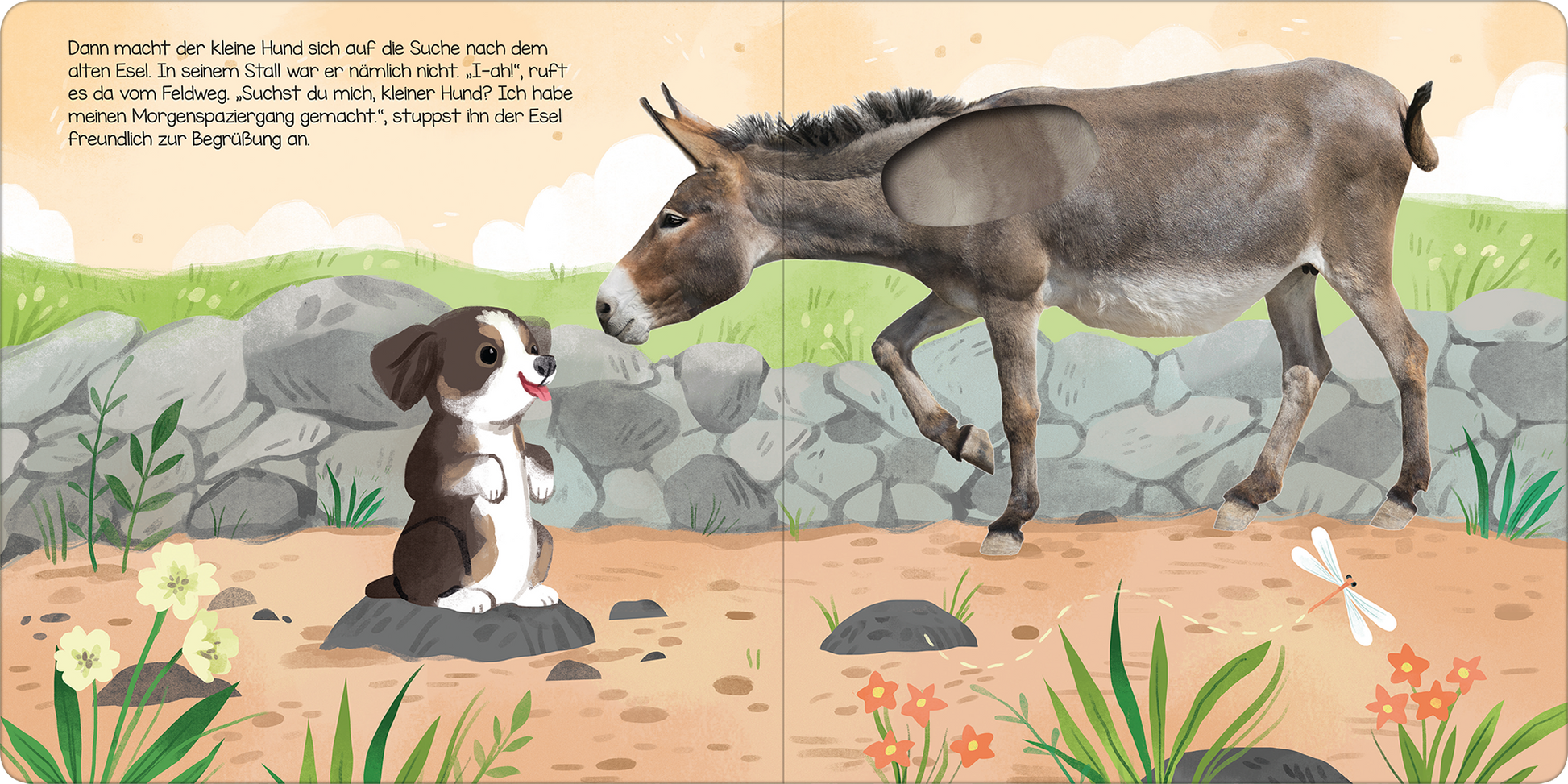 Gezeigt wird eine Innen- oder Zusatzansicht von „Hör mal, kleiner Hund!“. Die Illustration zeigt einen kleinen, braunen Hund, der auf einem Stein sitzt und einem grauen Esel gegenübersteht. Der Hund hat große, leuchtende Augen und wirkt freundlich. Der Hintergrund ist mit sanften, grünen Wiesen und bunten Blumen gestaltet. Die Schrift ist klar und gut lesbar, in einer verspielten, kindgerechten Typografie, die das freundliche und einladende Thema des Buches unterstreicht.