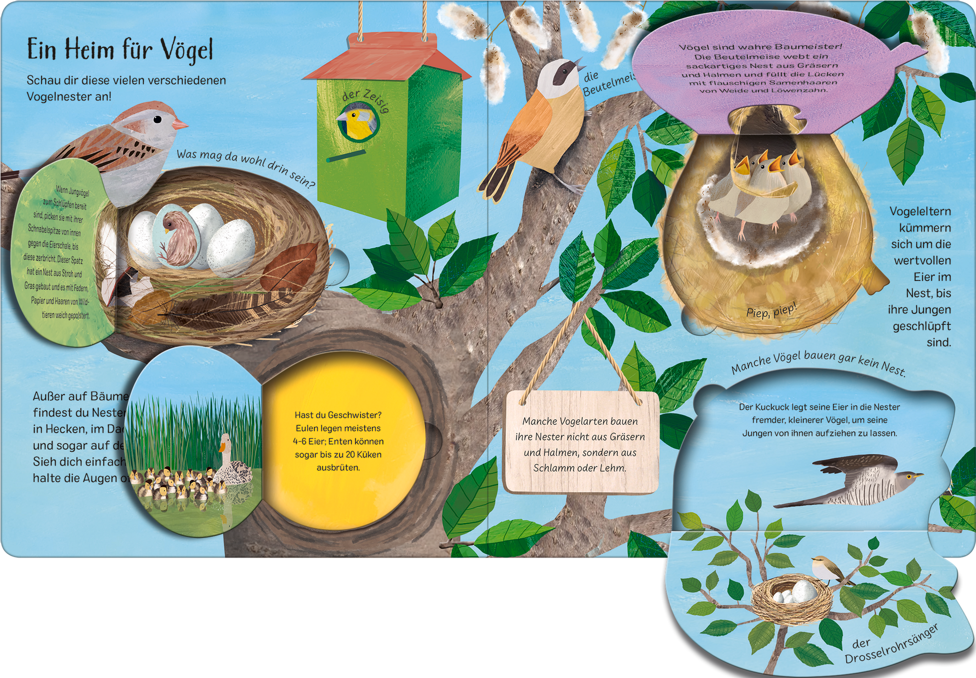Gezeigt wird eine Innen- oder Zusatzansicht von „Mit einem Ei fängt alles an“. Die Illustration zeigt eine bunte Baumlandschaft mit verschiedenen Vogelarten, Nester und Eier. Zentrale Farben sind ein kräftiges Grün, sanftes Blau und warme Erdtöne. Die Typografie ist kindgerecht und gut lesbar, mit informativen Textfeldern in unterschiedlichen Formen, die die Lebensweise der Vögel erklären. Ein harmonisches Gesamtbild lädt zum Entdecken und Staunen ein.