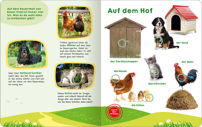 Gezeigt wird eine Innen- oder Zusatzansicht von „Mein großes Geräuschebuch – Bauernhof“. Die Seite ist farbenfroh und verspielt gestaltet. Auf der linken Seite sind Bilder von Tieren, wie Hühnern und einem Hund, die in runden Rahmen angeordnet sind. Rechts befindet sich eine Darstellung eines Geräteschuppens, umgeben von weiteren Tieren. Die Schrift ist groß und klar, mit grünen und roten Akzenten. Die Illustrationen sind lebhaft und laden zum Entdecken ein.