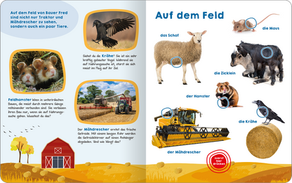 Gezeigt wird eine Innen- oder Zusatzansicht von „Mein großes Geräuschebuch – Bauernhof“. Die Doppelseite zeigt eine farbenfrohe Gestaltung mit Illustrationen von Tieren und Maschinen auf einem Bauernhof. In blauen, gut lesbaren Lettern ist der Titel „Auf dem Feld“ hervorgehoben. Es gibt Bilder von einem Schaf, einer Maus, Zicklein, einem Hamster und einer Krähe, umgeben von Erklärungen. Die Farbgebung umfasst warme Erdtöne, die eine ländliche Atmosphäre schaffen.