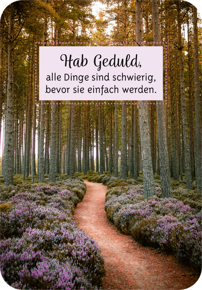Gezeigt wird eine Innen- oder Zusatzansicht von „Gelassenheit für dich“. Im Vordergrund führt ein gewundener Weg durch ein Waldgebiet, umgeben von lila blühendem Heidekraut. Darüber steht in einem weißen, rechteckigen Kästchen die Aussage: „Hab Geduld, alle Dinge sind schwierig, bevor sie einfach werden.“ Die Schrift ist in einer verspielten, leicht kursiven Typografie gehalten, die die betonte Aussage in sanften, einladenden Farben unterstützt.
