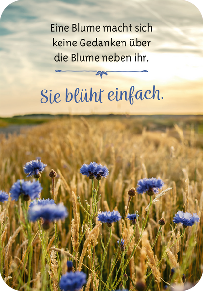 Gezeigt wird eine Innen- oder Zusatzansicht von „Gelassenheit für dich“. Die Ansicht präsentiert eine sanfte, naturbelassene Landschaft mit blühenden, blauen Kornblumen im Vordergrund und goldenen Grashalmen im Hintergrund. Der Himmel ist hell und strahlend, was eine friedliche Atmosphäre schafft. Der Text ist in einer harmonischen Mischung aus Schreibschrift und serifenlosen Buchstaben gestaltet, in dunkelblauer Farbe, und vermittelt eine positive Botschaft über innere Ruhe und...