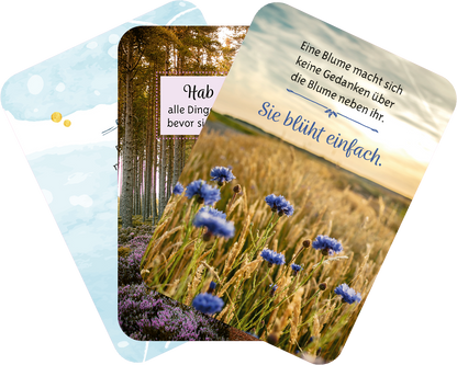 Gezeigt wird eine Innen- oder Zusatzansicht von „Gelassenheit für dich“. Die Ansicht zeigt drei künstlerisch gestaltete Karten. Die vordere Karte zeigt eine Wiese mit blauen Kornblumen und dem Spruch „Sie bleibt einfach.“. Die zweite Karte enthält einen sanften Wasserfarbhintergrund und den Text „Hab alle Dinge lieb, bevor sie gehen.“. Die dritte Karte zeigt einen ruhigen Wald mit warmen Erdtönen. Die Karten verwenden eine harmonische Typografie in Blautönen und sanften Farben.