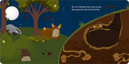 Gezeigt wird eine Innen- oder Zusatzansicht von „Mein kleines Klappenbuch – Im Wald“. Die Illustration zeigt eine nächtliche Waldszene mit einem schlafenden Reh, einem Igel und einem Dachs unter einem großen Baum. Die Farben sind überwiegend in sanften Blau- und Grüntönen gehalten und bilden eine ruhige Atmosphäre. Am rechten Bildrand ist ein Erdbau abgebildet, von dem kleine Fährten in den Vordergrund führen. Die Schrift ist spielerisch und freundlich, um die Zielgruppe...