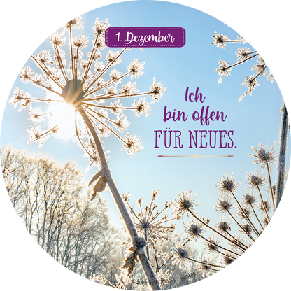 Gezeigt wird eine Innen- oder Zusatzansicht von „Adventskalender in der Dose. 24 Dankbarkeitsmantras für den Advent“. Die Ansicht zeigt eine frostige Winterlandschaft mit lichtdurchfluteten, blühenden Pflanzen. Oben ist ein lila Kasten mit der Aufschrift „1. Dezember“ und darunter steht in geschwungener, lila Schrift „Ich bin offen FÜR NEUES.“ Ein hellblauer Himmel ergänzt das harmonische Farbspiel.