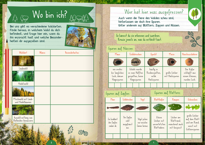 Gezeigt wird eine Innen- oder Zusatzansicht von „Naturforscher-Kids – Mitmach-Buch für unterwegs“. Die Seite ist in sanften Naturtönen gehalten, mit Waldelementen und handschriftlicher Typografie. Links befindet sich ein Kästchen für eine Artbestimmung mit den Überschriften „Waldart“, „Wann“ und „Besonderheiten“. Rechts werden verschiedene Spuren von Nüssen, Zapfen und Blättern dargestellt, ergänzt durch Illustrationen. Am oberen Rand sind dekorative Elemente wie...