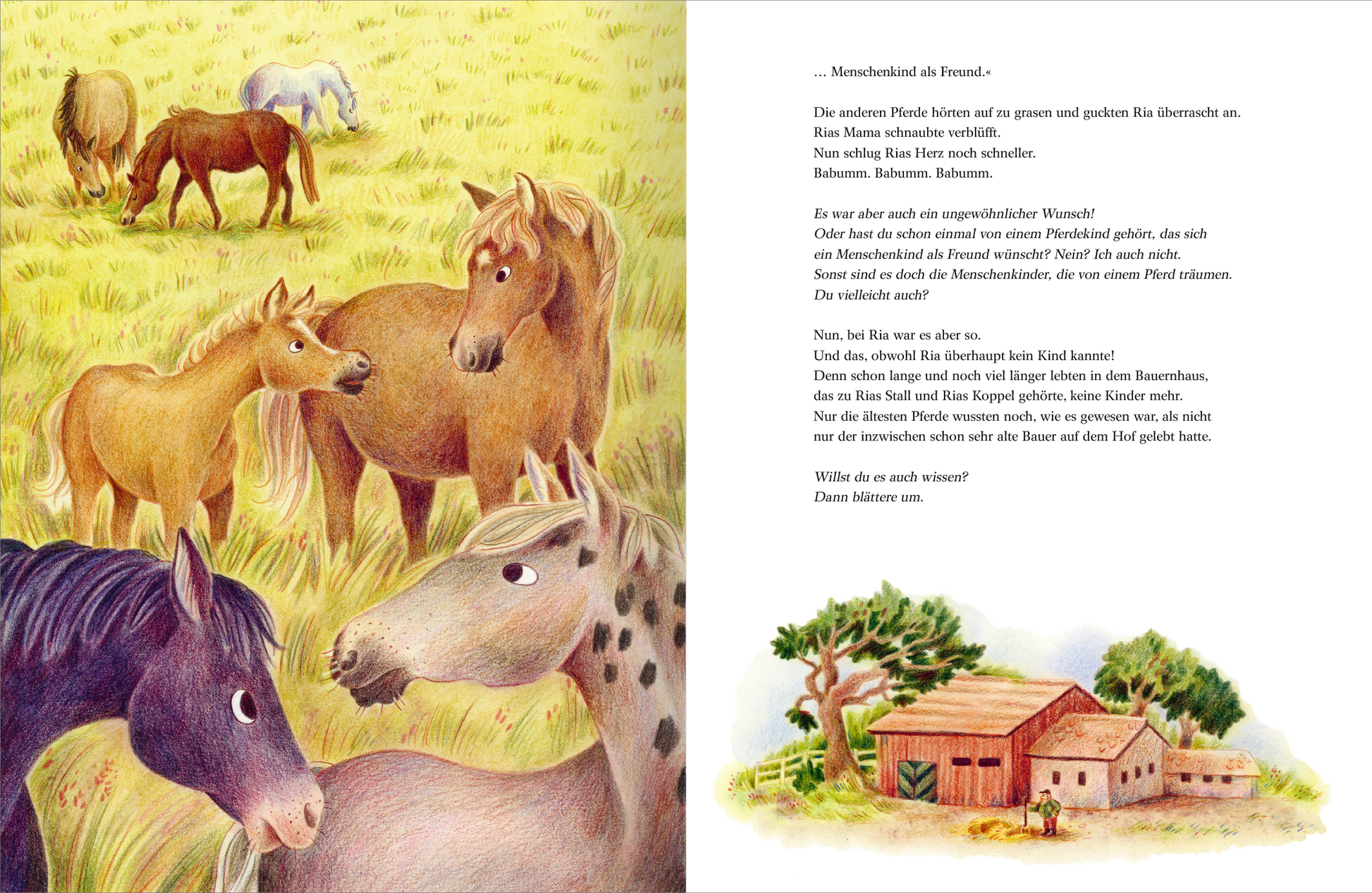 Gezeigt wird eine Innen- oder Zusatzansicht von „Rias Wunsch“. Die Illustration zeigt eine ländliche Szenerie mit mehreren Pferden in unterschiedlichen Farben, einschließlich braun, schwarz und grau, die friedlich auf einer grünen Wiese grasen. Im Hintergrund sind ein Holzstall und Bäume zu erkennen. Die sanften Farben vermitteln eine warme und einladende Atmosphäre. Die Schrift ist klar und gut lesbar, wobei große, freundliche Buchstaben verwendet werden.
