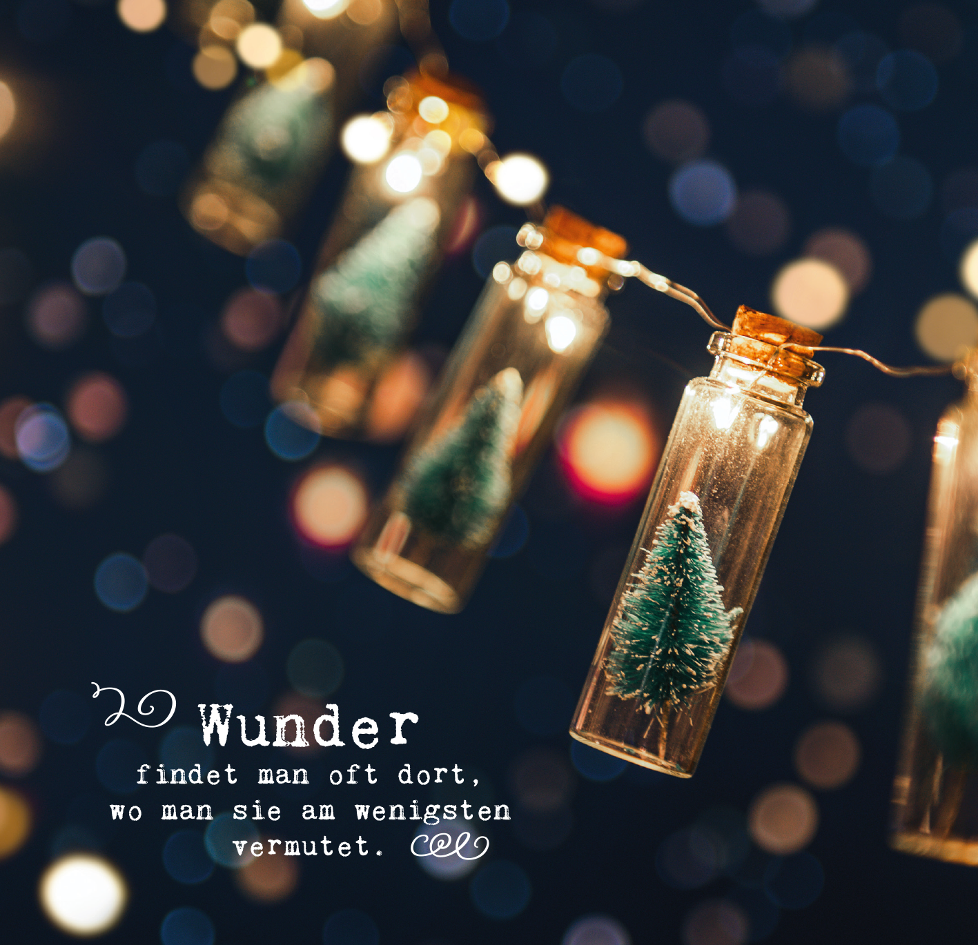 Gezeigt wird eine Innen- oder Zusatzansicht von „Winterzeit ist Wunderzeit“. Die Szene zeigt ein sanft beleuchtetes Arrangement von kleinen Glasfläschchen, die jeweils einen Miniatur-Tannenbaum enthalten. Im Hintergrund funkeln unscharfe Lichter in warmen Farben, die eine festliche Stimmung erzeugen. Der Text „Wunder findet man oft dort, wo man sie am wenigsten vermutet.“ ist in einer verspielten Schriftart geschrieben, die gut lesbar ist und die weihnachtliche Atmosphäre...
