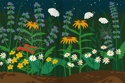 Gezeigt wird eine Innen- oder Zusatzansicht von „Das superdicke Stickerheft – Tiere“. Die Illustration zeigt eine farbenfrohe Wildblumenwiese bei Nacht, dominiert von leuchtenden Gelb- und Violetttönen. Es sind verschiedene Blumen wie Gänseblümchen und Sonnenblumen zu sehen, ergänzt durch Spinnweben. Der Hintergrund ist tiefblau mit einem Hauch von Sternen, was eine stimmungsvolle Atmosphäre schafft. Die Typografie ist verspielt und kindgerecht, passend zum Zielpublikum.