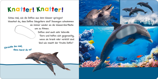 Gezeigt wird eine Innen- oder Zusatzansicht von „Hör mal rein, wer kann das sein? – Im Ozean“. Die Seite enthält helle, ansprechende Farben mit einem vorwiegend blauen Hintergrund, der die Ozeanwelt widerspiegelt. Ein großes Bild eines Delfins ist auf der linken Seite abgebildet, umgeben von bunten Grafiken. Der Text in freundlicher, kindgerechter Typografie schließt Aufforderungen und spannende Informationen über Delfine ein, wobei die Worte „Knatter! Knatter!“ hervorgehoben...