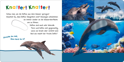 Gezeigt wird eine Innen- oder Zusatzansicht von „Hör mal rein, wer kann das sein? – Im Ozean“. Die Seite enthält helle, ansprechende Farben mit einem vorwiegend blauen Hintergrund, der die Ozeanwelt widerspiegelt. Ein großes Bild eines Delfins ist auf der linken Seite abgebildet, umgeben von bunten Grafiken. Der Text in freundlicher, kindgerechter Typografie schließt Aufforderungen und spannende Informationen über Delfine ein, wobei die Worte „Knatter! Knatter!“ hervorgehoben...