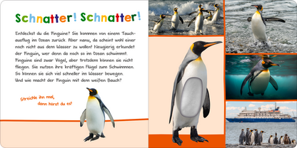 Gezeigt wird eine Innen- oder Zusatzansicht von „Hör mal rein, wer kann das sein? – Im Ozean“. Die Seite enthält lebendige Illustrationen von Pinguinen in verschiedenen Szenen, sowohl in Wasser als auch an Land. Der Titel „Schnatter! Schnatter!“ ist in bunter, verspielter Schriftart angeordnet. Ein abgerundeter Informationsbereich erklärt die Eigenschaften der Pinguine, während eine orangefarbene Leiste den Text umrahmt. Die Atmosphäre ist freundlich und einladend, ideal für...