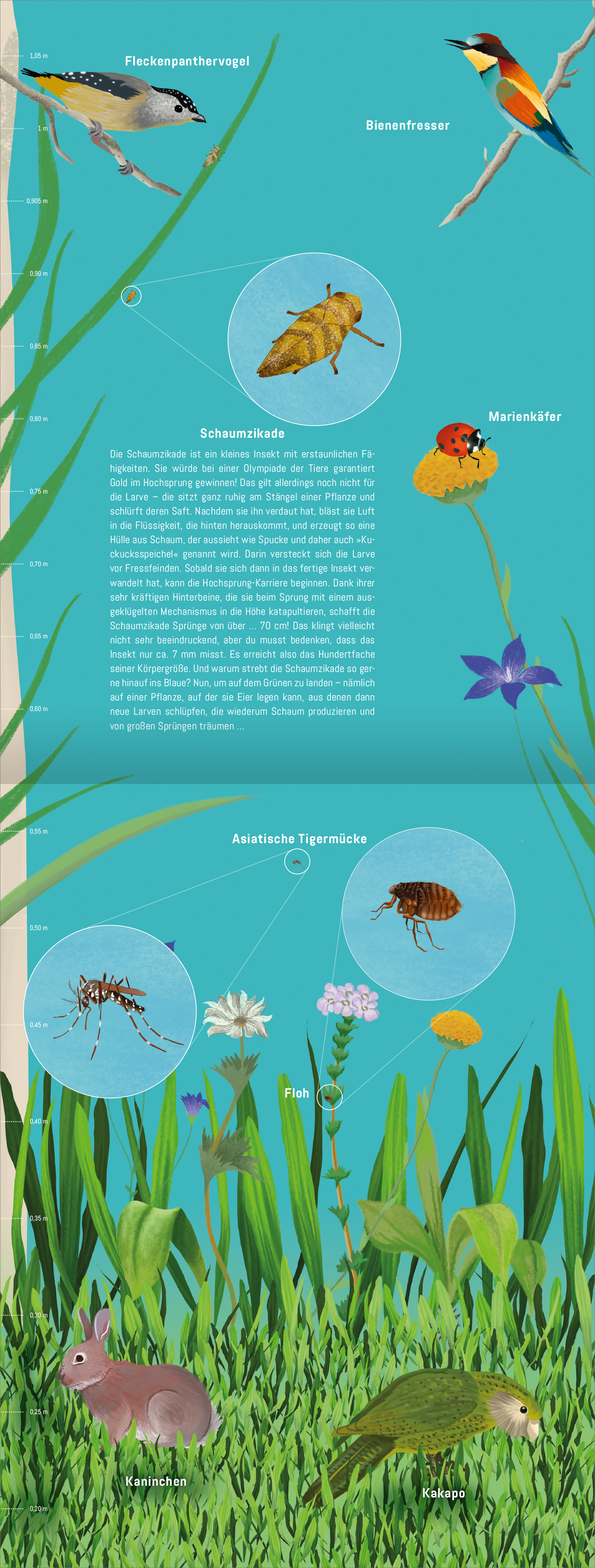 Gezeigt wird eine Innen- oder Zusatzansicht von „Hinauf ins Himmelblau“. Die Illustration zeigt einen farbenfrohen Hintergrund in verschiedenen Türkistönen. Im Vordergrund sind stilisierte Pflanzen und Tiere abgebildet, darunter ein Kaninchen, eine grüne Eidechse sowie verschiedene Insekten. Die Typografie ist klar und modern, in harmonierenden Farben gehalten, und wichtige Informationen sind in auffälligen Kreisen platziert. Diese Kombination aus lebendigen Farben und ansprechender...