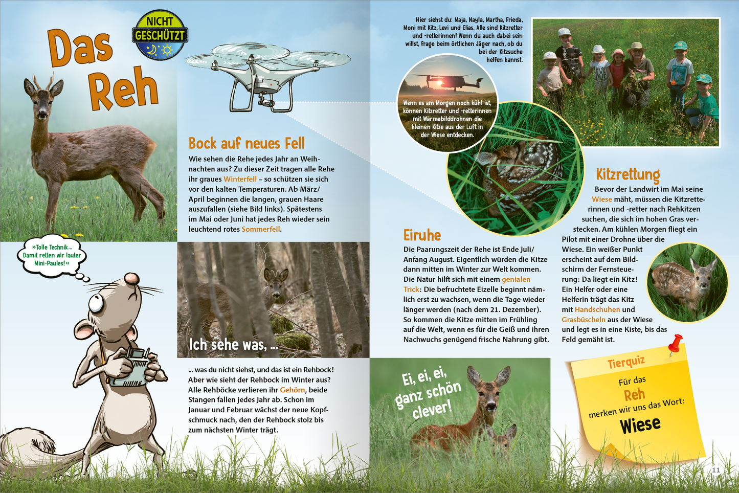 Gezeigt wird eine Innen- oder Zusatzansicht von „Jetzt verstehe ich die Tiere des Waldes“. Die Doppelseite präsentiert lebendige Illustrationen von Tieren im Wald, darunter ein Reh und ein skurriler Maulwurf. Der Hintergrund ist in sanften Grüntönen gehalten, während die Texte in klarer, moderner Typografie erscheinen. Wichtigste Elemente sind informative Kästen mit Texten zu tierischen Themen, ergänzt durch Sprechblasen und bunte Icons, die die kindgerechte Ansprache unterstreichen.