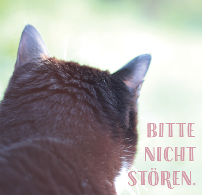 Gezeigt wird eine Innen- oder Zusatzansicht von „Die ganze Wahrheit über deine Katze“. Im Fokus steht das Hinterteil einer schwarzen Katze mit spitzen Ohren, die aufmerksam in die Ferne schaut. Neben der Katze befindet sich der Text „BITTE NICHT STÖREN“ in einer verspielten, rosafarbenen Schrift. Der Hintergrund ist weich und unscharf, wodurch die Katze im Vordergrund hervorgehoben wird und eine ruhige, entspannte Atmosphäre vermittelt.