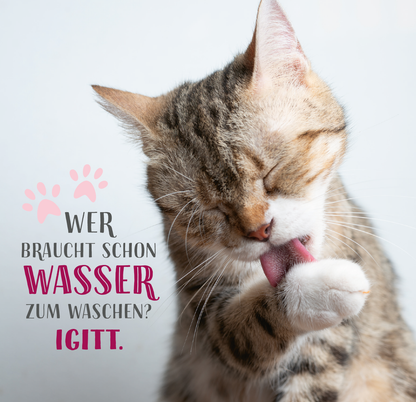 Gezeigt wird eine Innen- oder Zusatzansicht von „Die ganze Wahrheit über deine Katze“. Im Mittelpunkt ist eine süße Katze, die sich mit ihrer Pfote putzt. Der Hintergrund ist hell und neutral, während der textliche Inhalt in humorvoller, moderner Typografie gestaltet ist. Die Aussage „WER braucht schon WASSER zum Waschen? IGITT.“ hebt sich durch kräftige Farben wie Pink und Grau ab und sorgt für eine aufgelockerte, ansprechende Gestaltung.